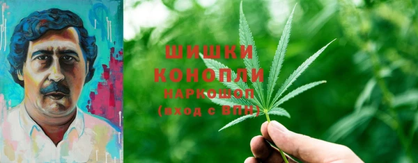 бошки Саяногорск