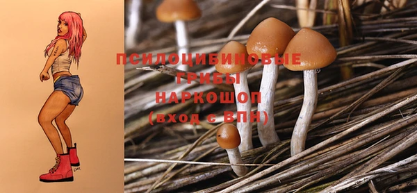 PSILOCYBIN Абдулино