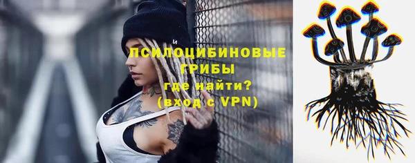PSILOCYBIN Абдулино
