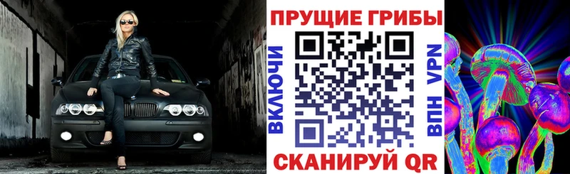 даркнет сайт Котлас Псилоцибиновые грибы Cubensis