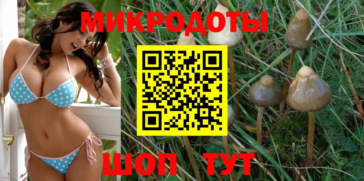 Псилоцибиновые грибы ЛСД Котлас