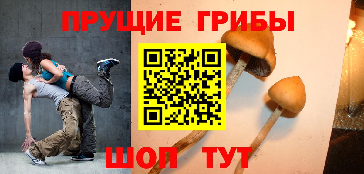 Галлюциногенные грибы Cubensis  Псилоцибиновые грибы ЛСД  Котлас  Вход с VPN 